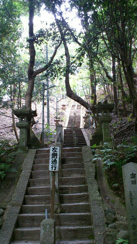 妙見宮の長い階段