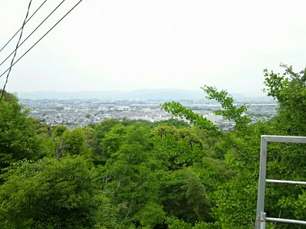 拝殿前から望む外の景色