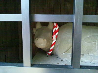 蹉跎神社で祀られている神牛