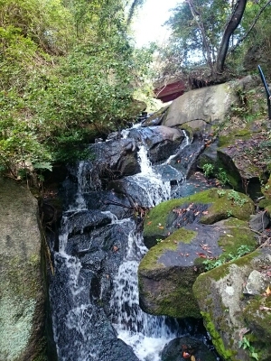 交野山の清流