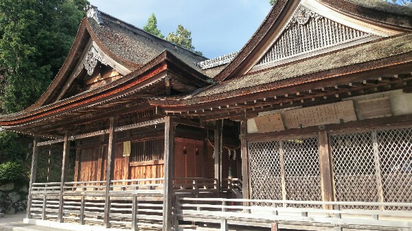 白鬚神社の拝殿と本殿