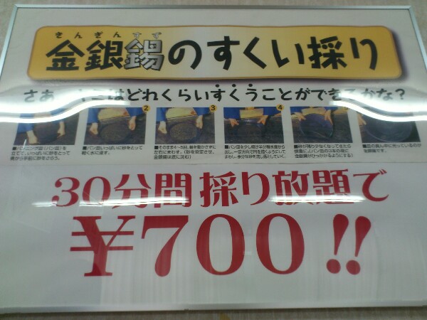 生野銀山すくい取り体験の料金