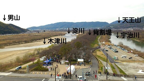 さくらであい館の展望塔から見える景色