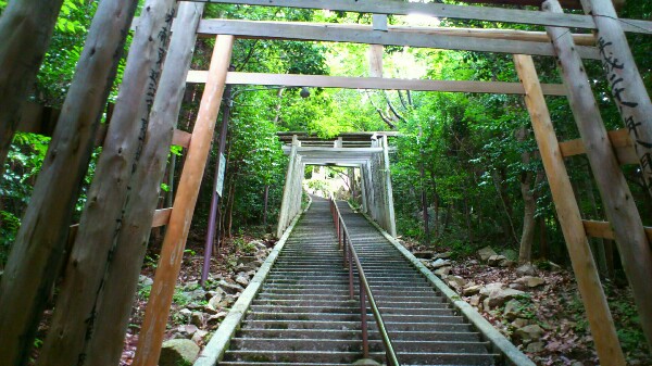 太郎坊宮の沢山の鳥居