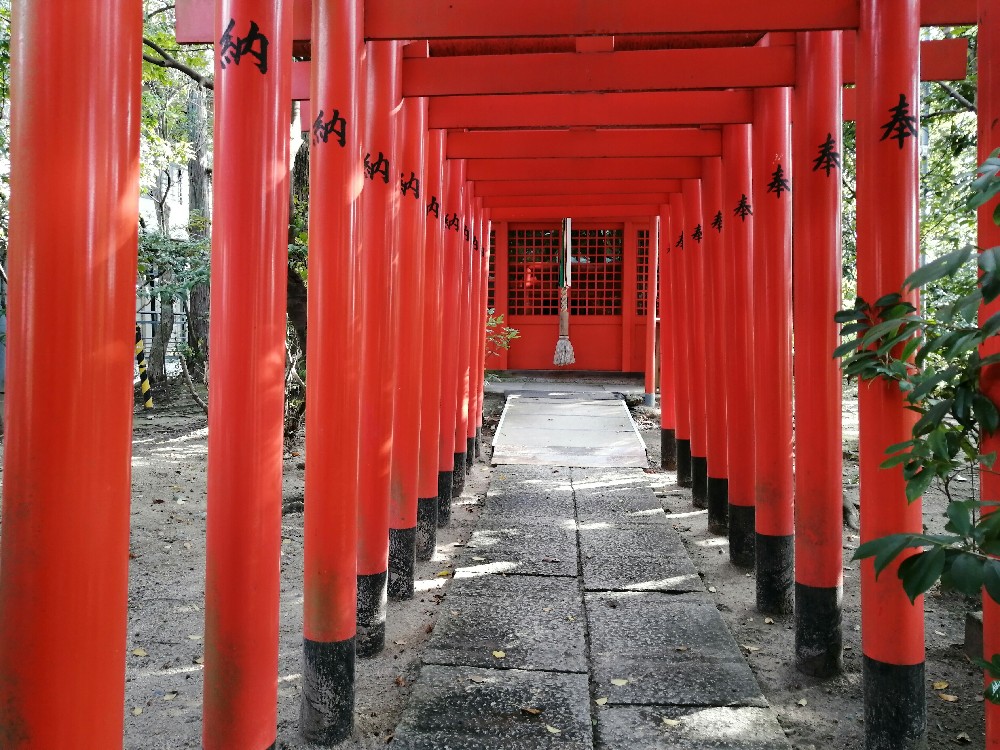 稲荷神社の赤い鳥居が沢山並ぶ