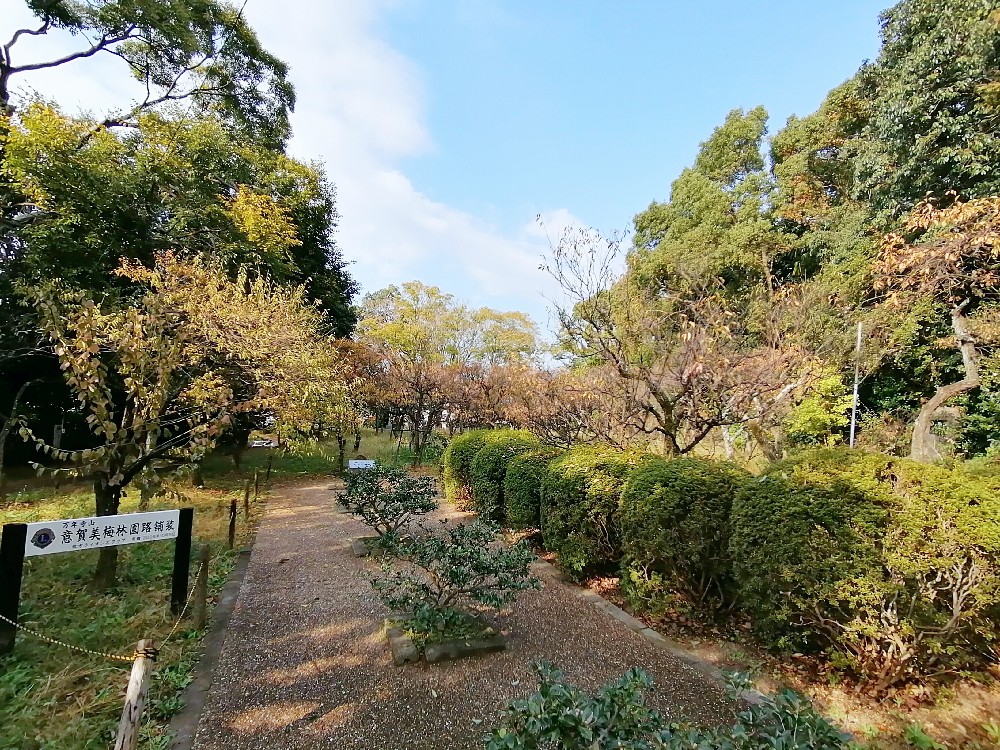 万年寺山の梅林