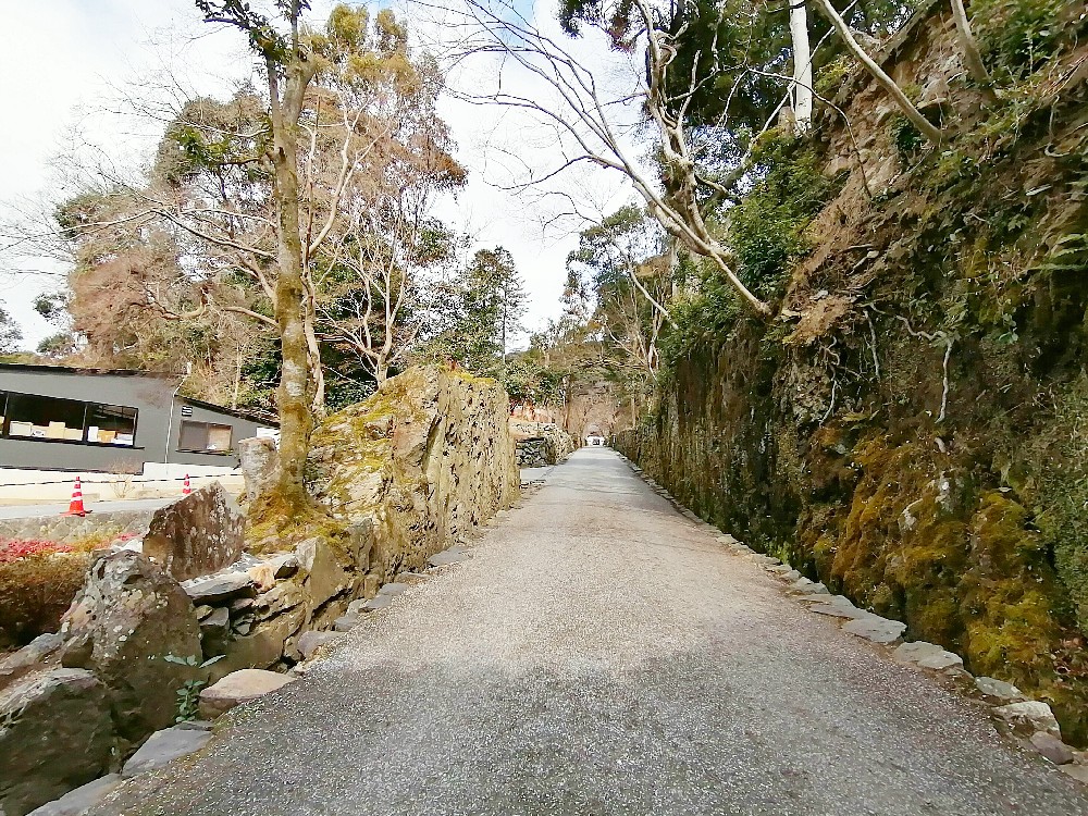興聖寺の琴坂(参道)