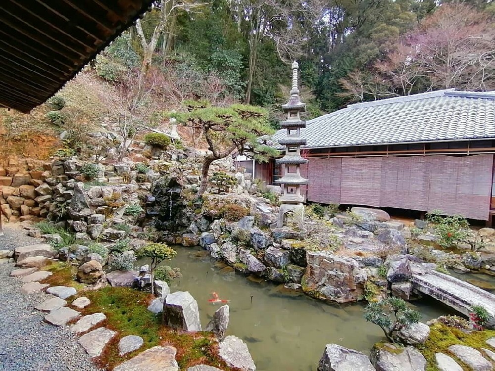 興聖寺の池泉式庭園