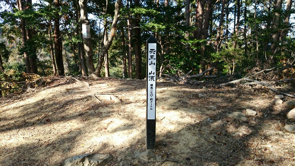天王山山頂の目印