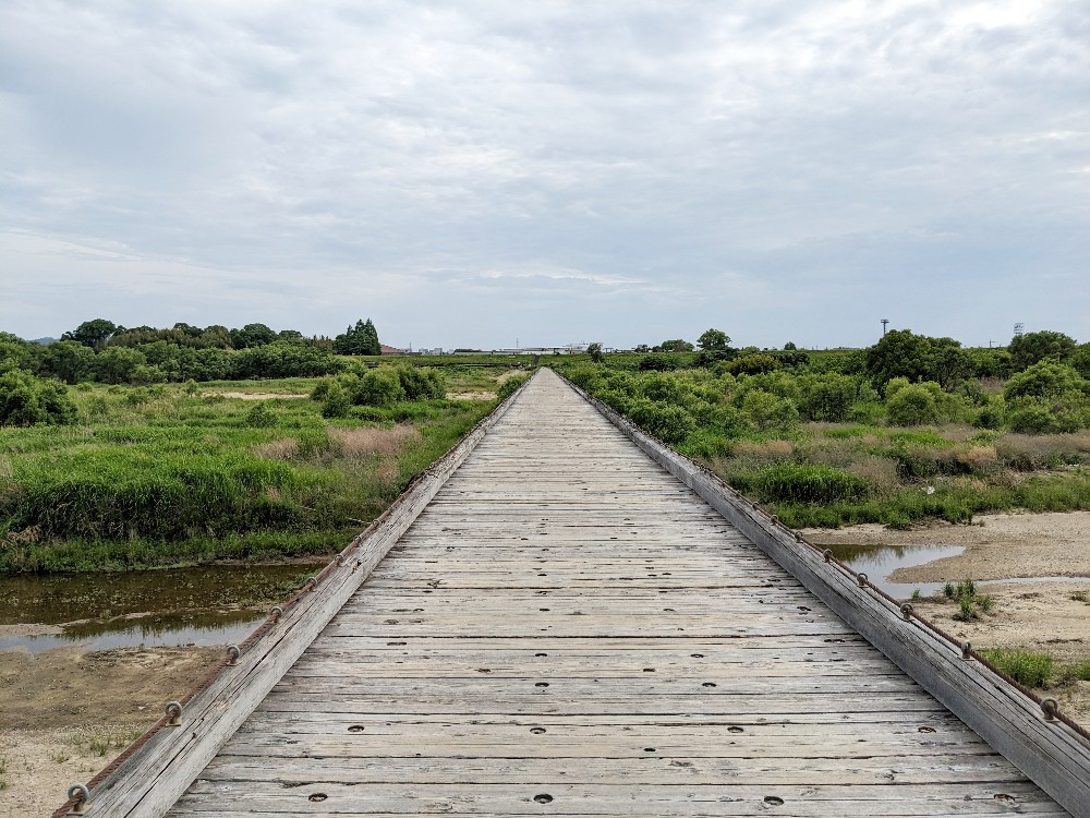真っ直ぐに伸びる流れ橋