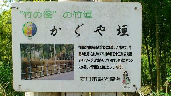 かぐや垣の説明