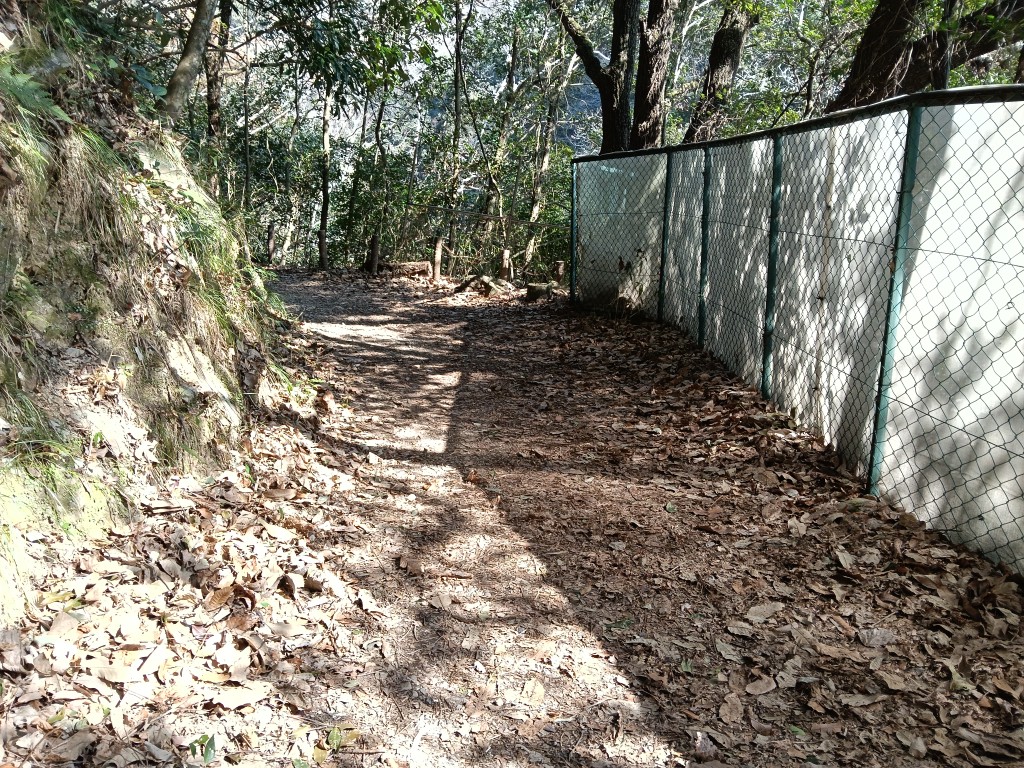 途中から山道に変わる摂津峡の渓谷コース