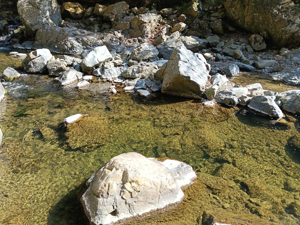 透き通る摂津峡の渓流