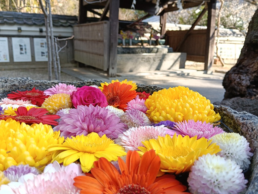 蹲に飾られた花から手水舎を見る