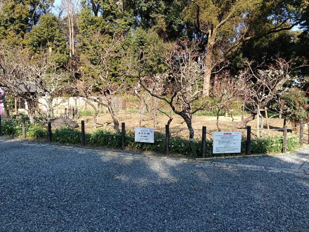 上宮天満宮の梅園