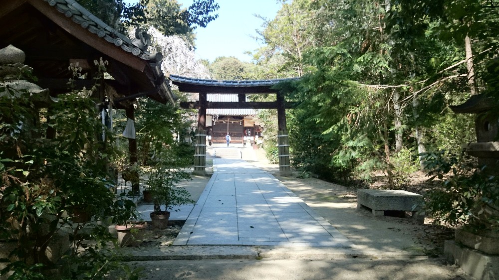 交野天神社の二の鳥居。鳥居の向こう側に本殿が見えています