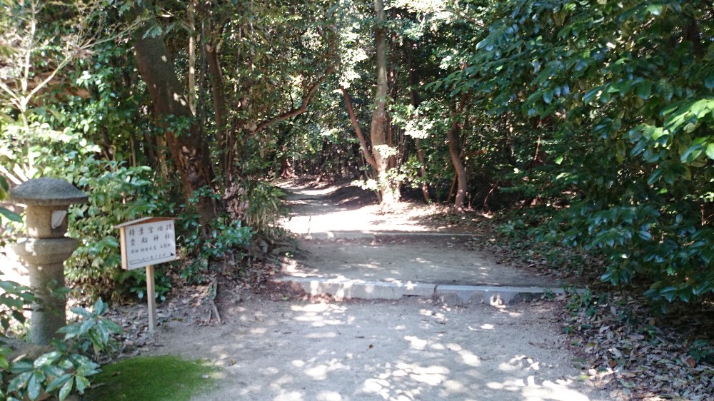 貴船神社へと通じる道は木々で生茂っている