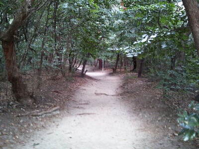 大神社のわきにある通り道は貴船神社に通じる