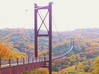 紅葉の山々を星のブランコの吊り橋がすーっと伸びている
