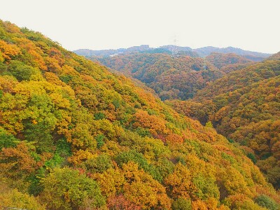 赤や黄や緑のグラデーションの山が、目の前に広がっています