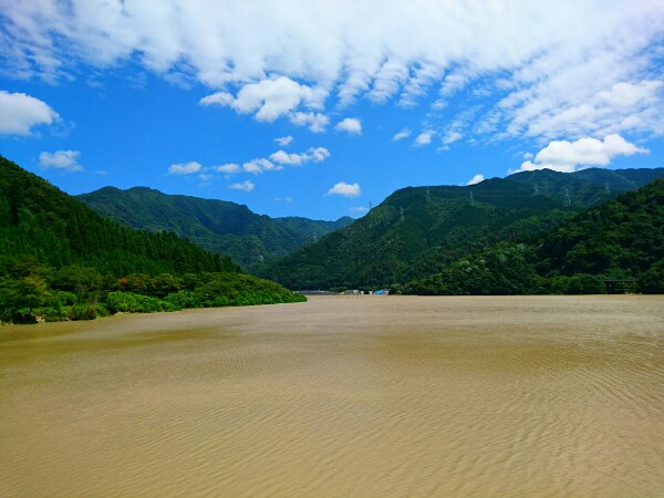 前日の台風のせいで水が茶色く濁っている様子
