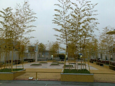 京都駅ビルの大空広場