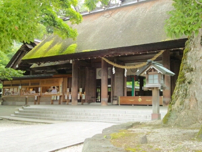 籠神社の苔むした茅葺き屋根