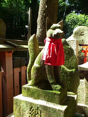 苔むす狛狐