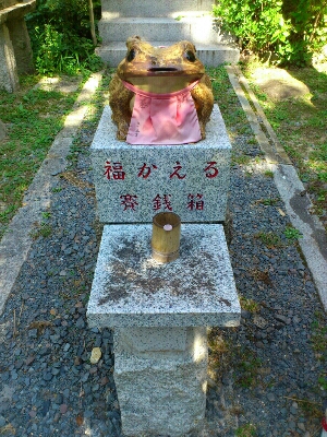 福かえる(福が帰る)」「無事かえる」「お金が返る」という、とても縁起の良い御利益のある蛙さん