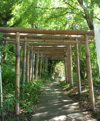 竹で出来た鳥居に思わず身が引き締まる