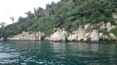 竹生島の岩肌