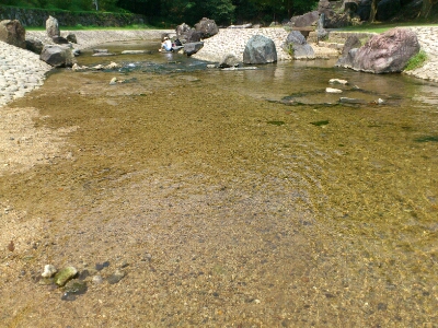 透き通っている天野川の水