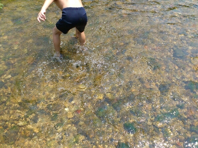 子供の脛ほどの水の深さ