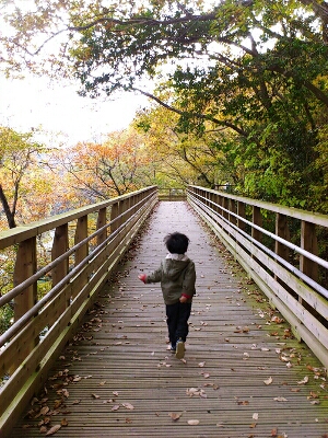 橋の上をトコトコと走る子供
