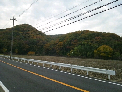 国道168号線沿いを左へ