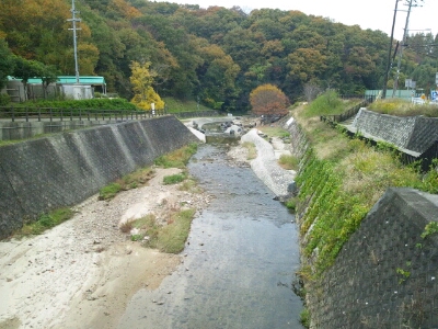 天橋立沿のハイキングコースを歩いて行くと安全です